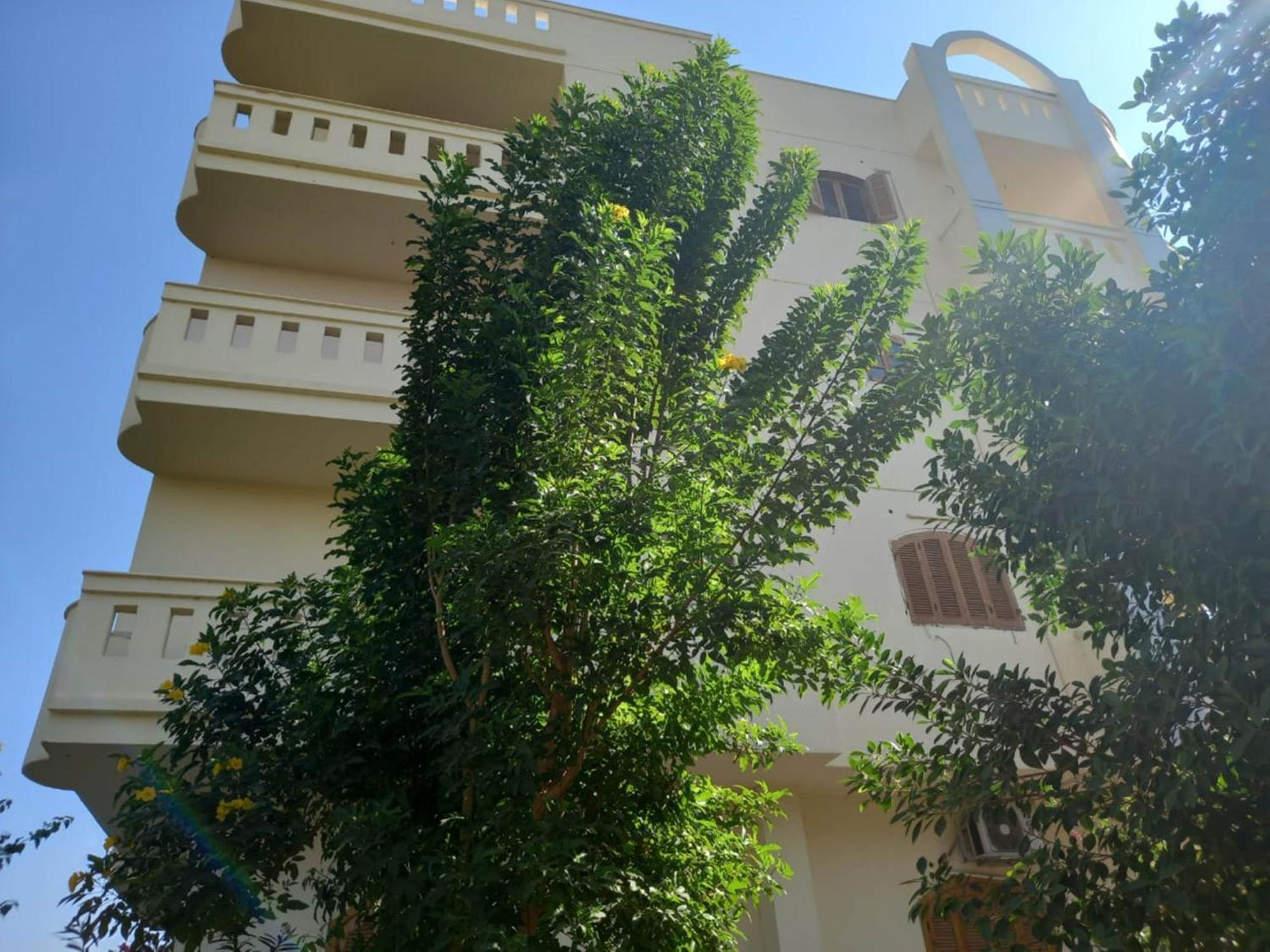 Elsanosy Family Guest House - Luxor Exterior photo